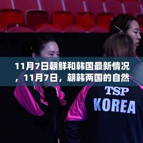 朝韩最新动态,探寻自然之旅,寻求内心宁静与和谐之美