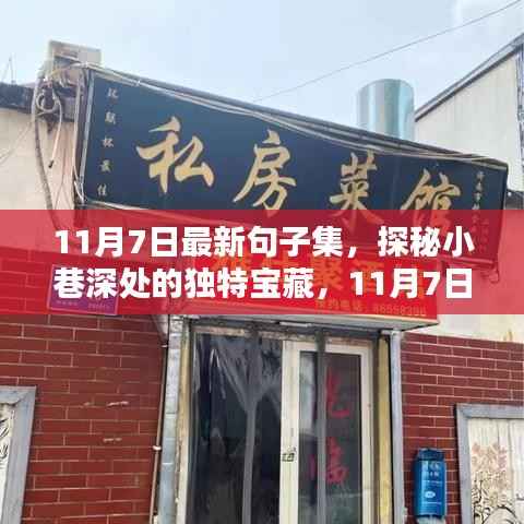 探秘小巷深处的宝藏,11月7日最新句子集惊艳登场
