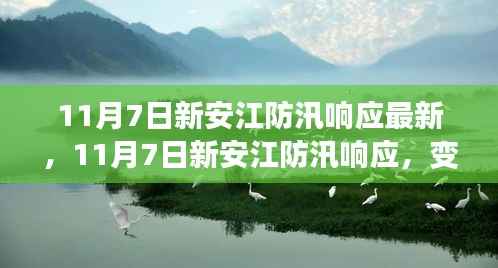 新安江防汛响应最新动态,铸就自信的励志之旅
