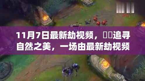 最新劫视频引领的自然之美心灵之旅探索纪实