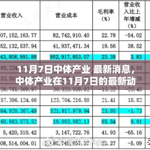 中体产业最新动态聚焦解析,11月7日深度解读要点消息