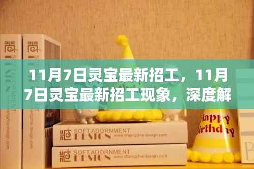 11月7日灵宝最新招工现象深度解析与观点阐述