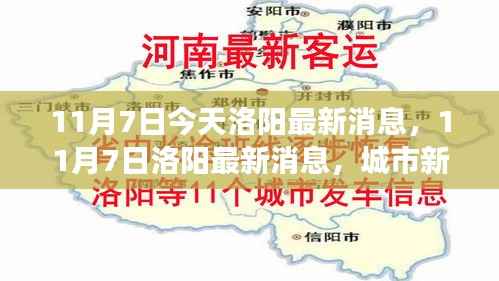 11月7日洛阳城市新动态与发展亮点最新消息