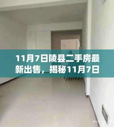 揭秘最新陵县二手房市场,优质房源出售指南(11月7日更新)