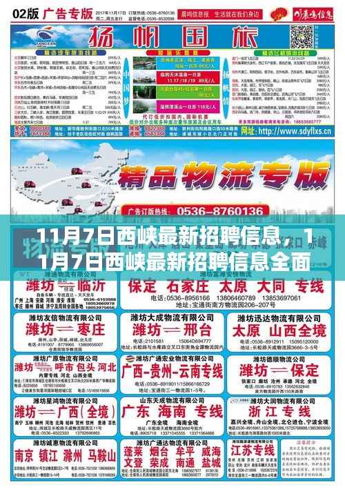 11月7日西峡最新招聘信息全面解析与评测