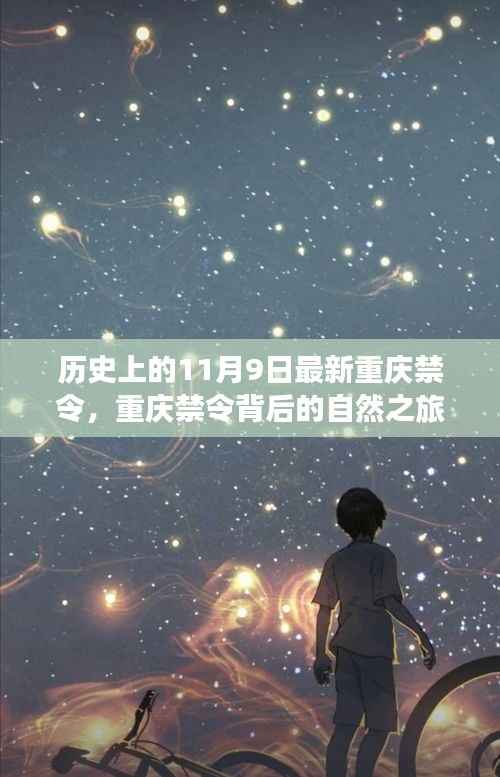 重庆禁令背后的自然之旅,一场心灵探险之旅的探寻与纪念