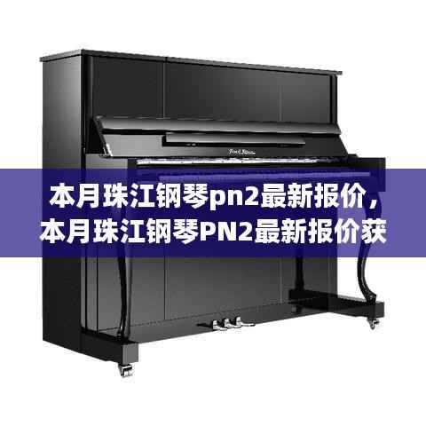本月珠江钢琴PN2最新报价大全，初学者指南