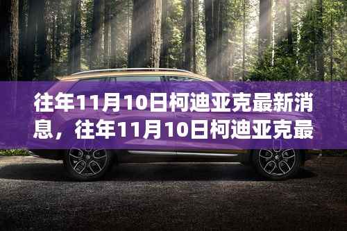 往年11月10日柯迪亚克最新消息深度解析，各方观点与个人立场探讨