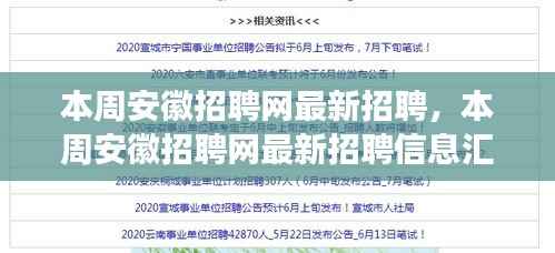 本周安徽招聘网最新招聘信息汇总，职业发展的理想选择