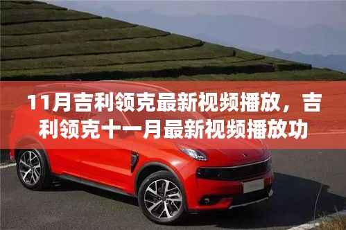 肝胆相照 第17页