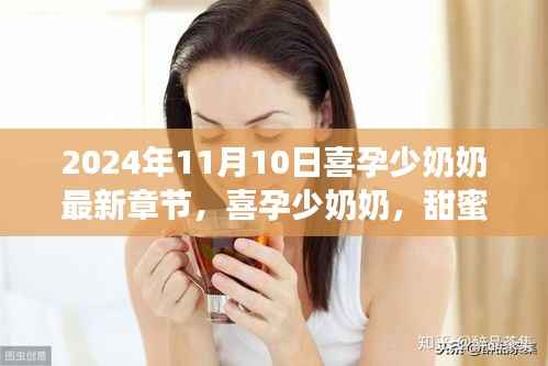 喜孕少奶奶最新章节揭秘，甜蜜生活与孕育之旅的探秘分享（附小红书心得分享）