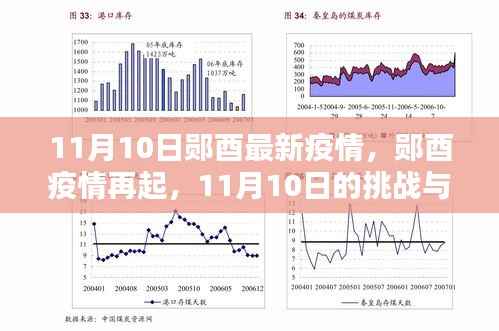 郧酉疫情再起,11月10日的挑战与应对