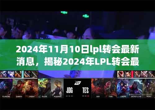 文质彬彬 第14页