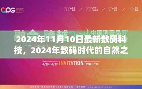 探索美景与内心平静，数码时代自然之旅的启示