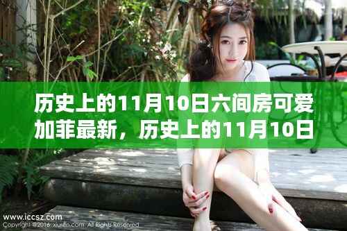 历史上的11月10日聚焦六间房可爱加菲的最新动态