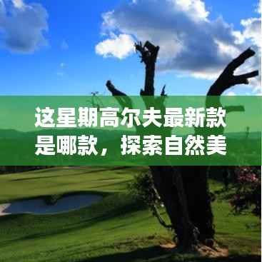 江南烟雨断桥殇 第26页