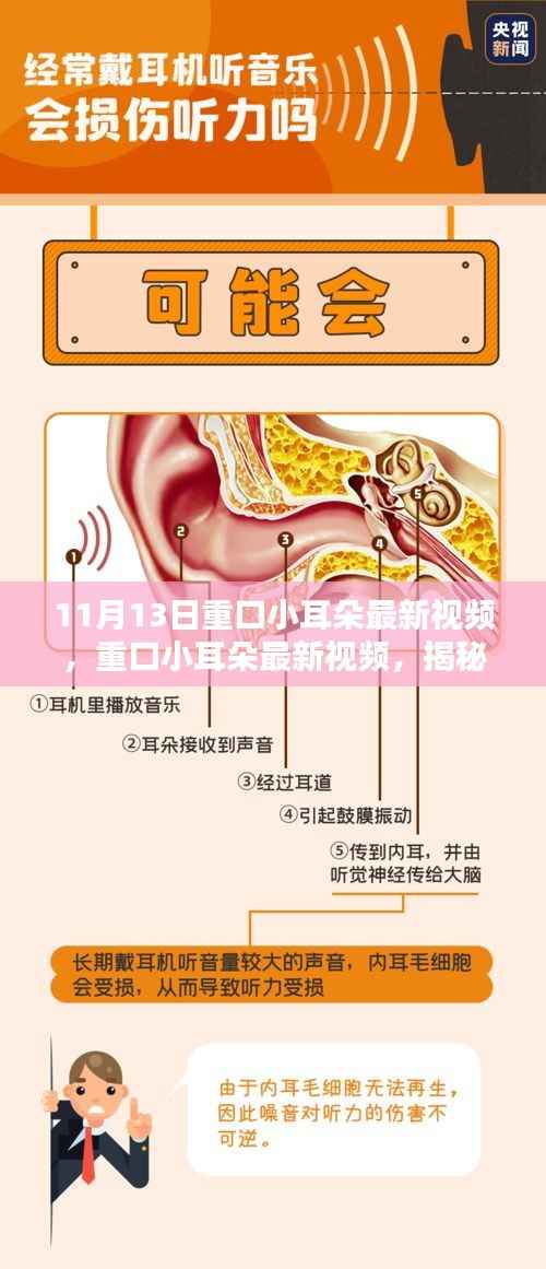揭秘重口小耳朵在特定领域的影响力与地位,最新视频曝光