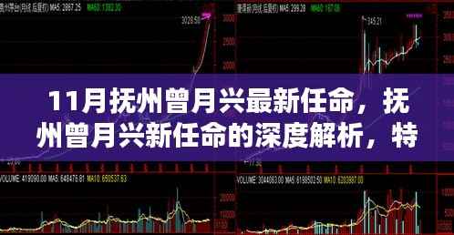 抚州曾月兴最新任命深度解析,特性、体验、竞品对比及用户群体全面分析