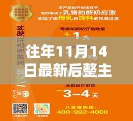 走马观花 第14页