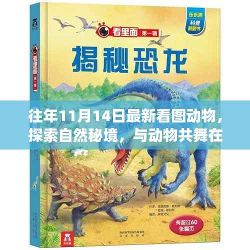 往年11月14日,揭秘动物世界,自然秘境探索之旅