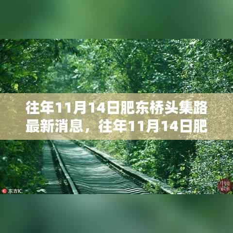 往年11月14日肥东桥头集路最新动态与深度评测介绍