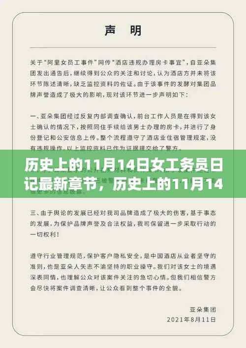 历史上的11月14日,女工务员的日记新篇章揭秘