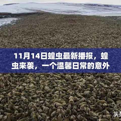 江南烟雨断桥殇 第24页