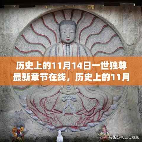 历史上的11月14日,一世独尊最新章节在线及其多元解读