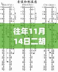 往年11月14日二胡最新名曲,初学者与进阶者的学习指南二胡最新名曲精选,适合初学者与进阶用户的学习指南