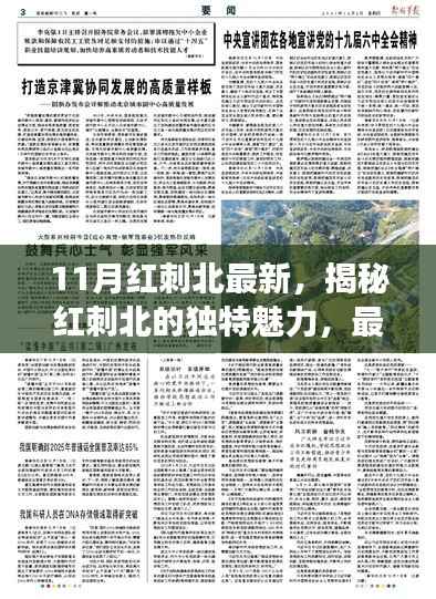 废寝忘食 第13页