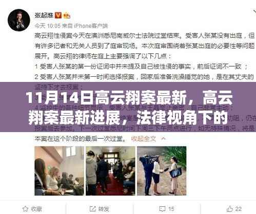 高云翔案最新进展,法律视角下的深度解读(11月14日更新)