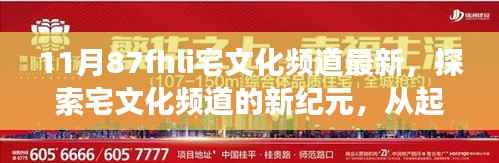 宅文化频道新纪元探索,起源至最新发展