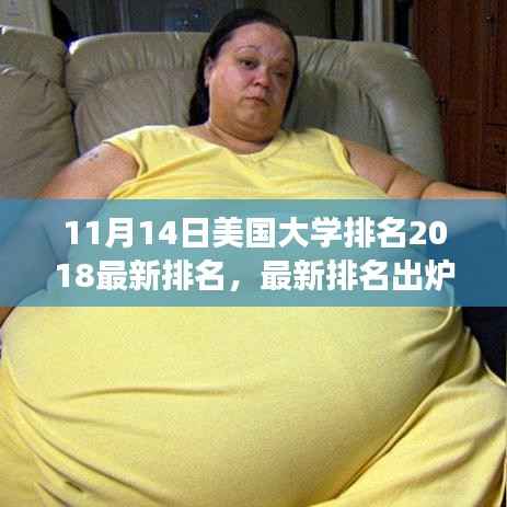 美国大学最新排名出炉,励志学术巅峰之旅