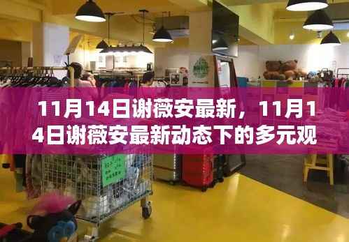 11月14日谢薇安最新动态,多元观点下的探析