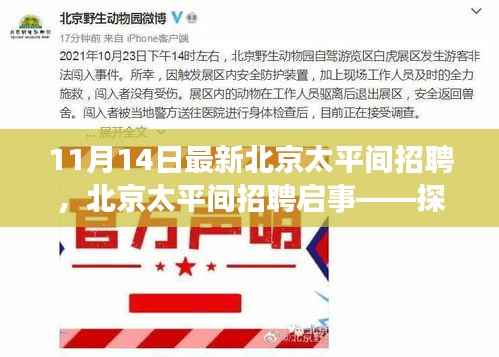 星星打烊 第13页