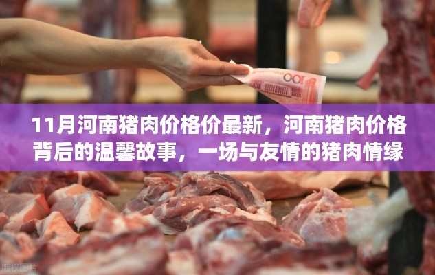 河南猪肉情缘,价格背后的友情故事与最新市场动态