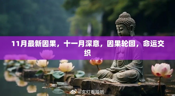 十一月深意,因果轮回与命运交织的旋律
