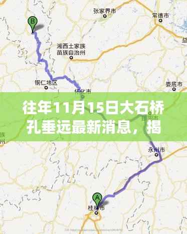 揭秘大石桥孔垂远最新进展与专业解读历程——最新消息汇总报道