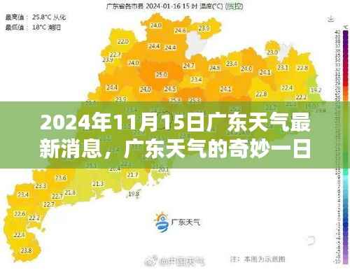 广东天气,奇妙一日的温馨际遇(2024年11月15日最新消息)