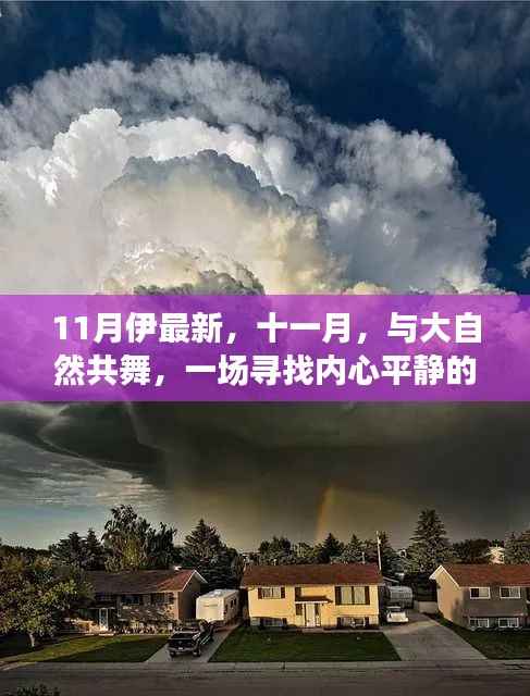十一月心灵之旅,与大自然的共舞,寻找内心平静的奇妙探险