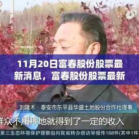 富春股份最新动态报道,聚焦三大要点解析(11月20日更新)