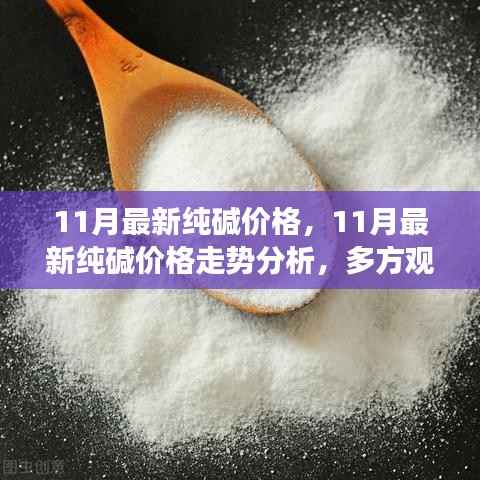 11月最新纯碱价格,11月最新纯碱价格走势分析,多方观点碰撞与个人立场阐述