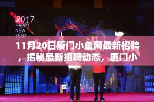 厦门小鱼网11月20日最新招聘热点揭秘