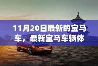 张牙舞爪 第11页