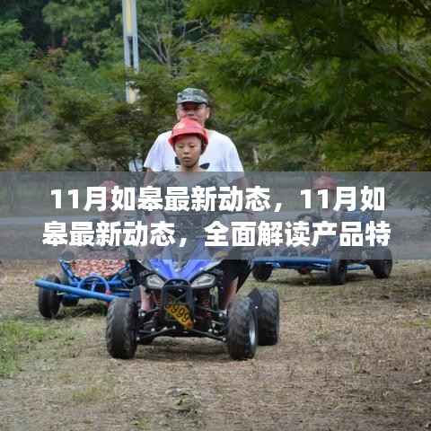 11月如皋最新动态全面解读,产品特性、体验、竞争分析与目标用户群体一览
