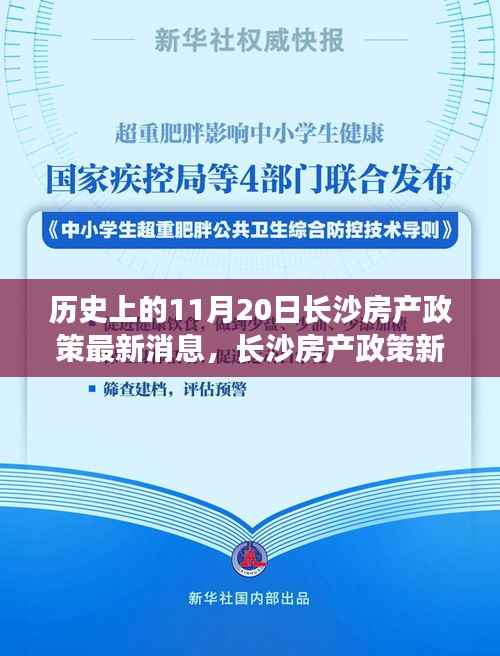 历史上的11月20日长沙房产政策最新消息,长沙房产政策新篇章,一个温馨日常的十一月回忆