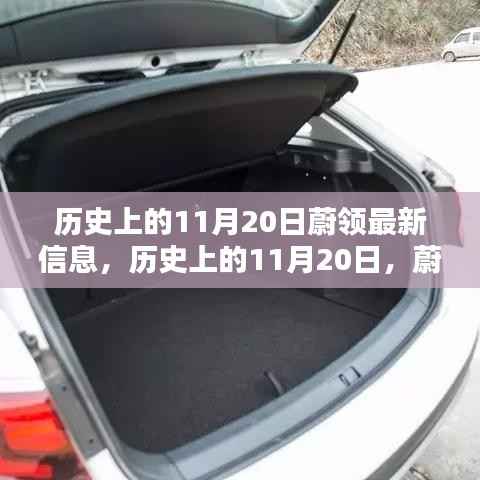 容光焕发 第11页