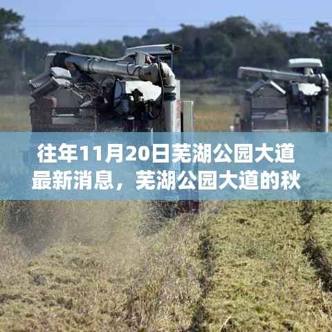 走马观花 第10页