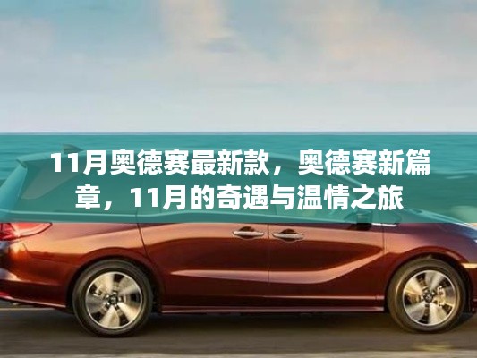 11月奥德赛新篇章,奇遇与温情的旅行之旅