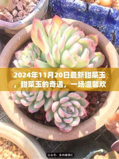 秋日收获之旅,甜菜玉的奇遇